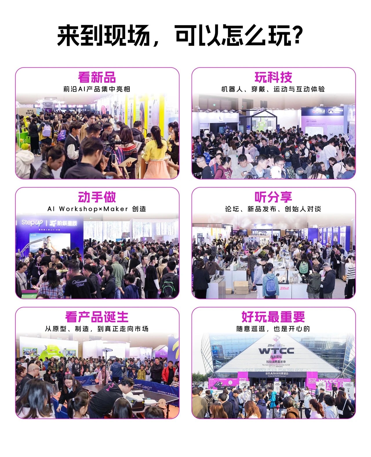 6.webp